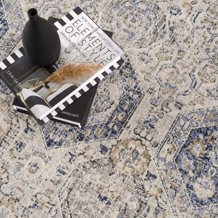 Traditional Blue and Beige Multi color Medium Pile Area Rug - The Rug Decor