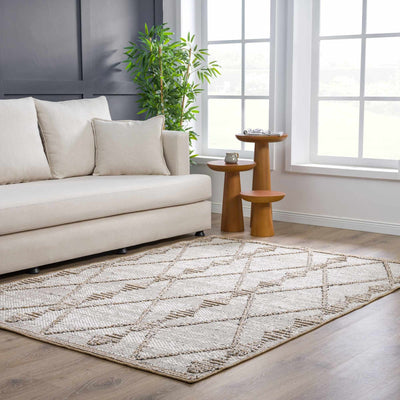 Traditional Contemporary Beige and Camel Medium Pile Outdoor Area Rug - The Rug Decor