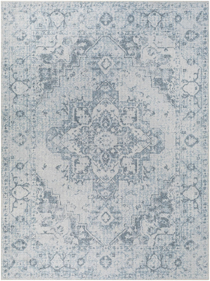 Traditional Design Aqua Blue And Ivory Machine-Washable Area Rug - The Rug Decor