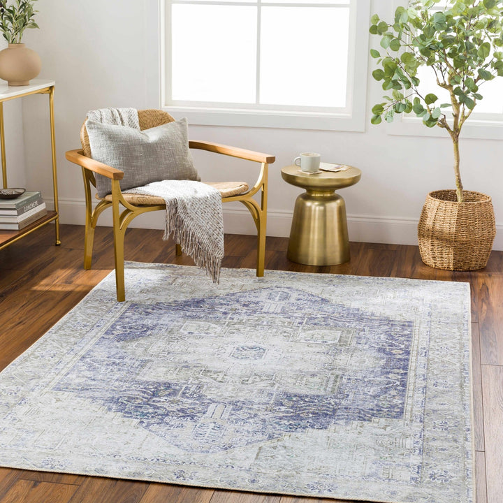 Traditional Design Brown, Violet and Beige Low pile Multi Size Area Rug - The Rug Decor