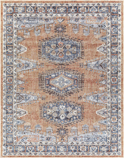 Traditional Design Rust and Blue Indoor and Outdoor Area Rug - The Rug Decor