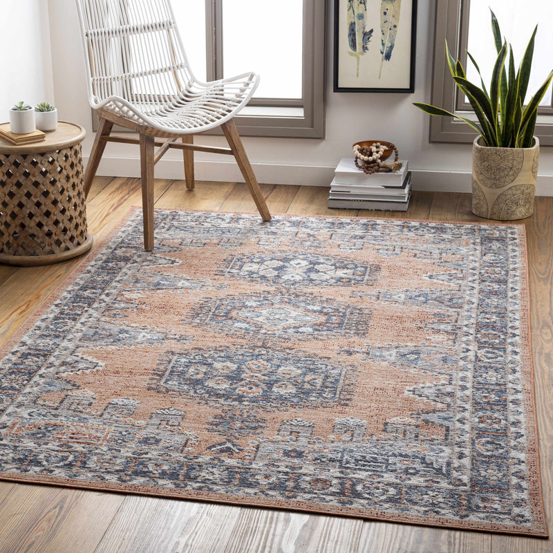 Traditional Design Rust and Blue Indoor and Outdoor Area Rug - The Rug Decor