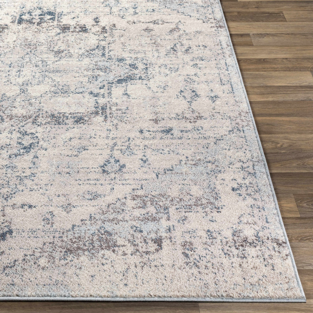 Traditional Heriz Design Beige, Blue and Brown Medium Pile Area Rug - The Rug Decor