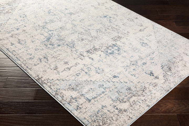 Traditional Heriz Design Beige, Blue and Brown Medium Pile Area Rug - The Rug Decor