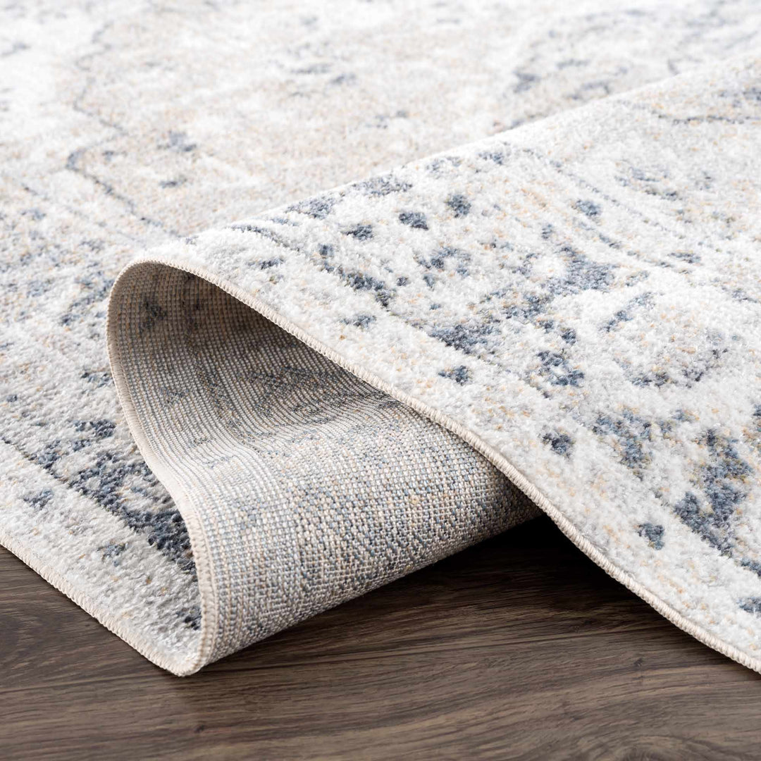 Traditional Heriz Design Beige, Silver and Charcoal washable Area Rug - The Rug Decor