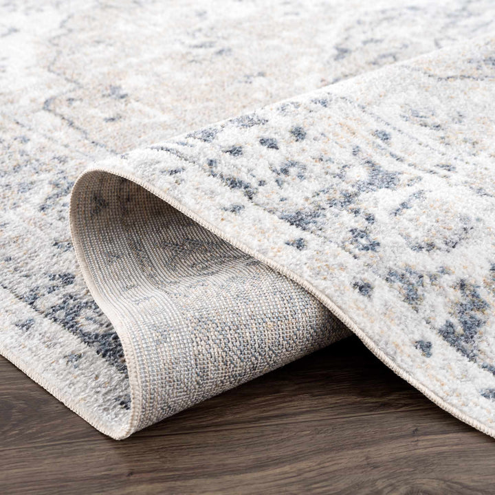 Traditional Heriz Design Beige, Silver and Charcoal washable Area Rug - The Rug Decor