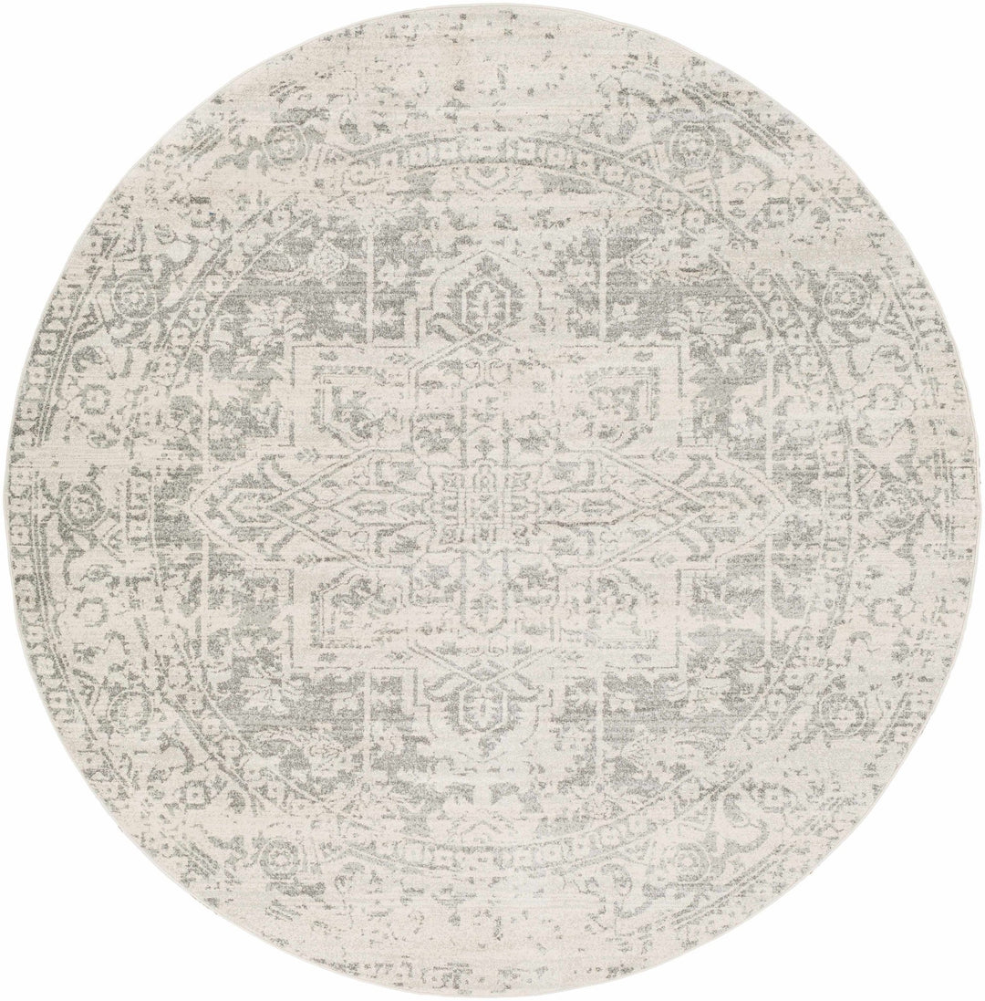 Traditional Heriz Design Gray and Beige Medallion Area Rug - The Rug Decor