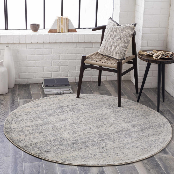 Traditional Heriz Design Gray and Beige Medallion Area Rug - The Rug Decor