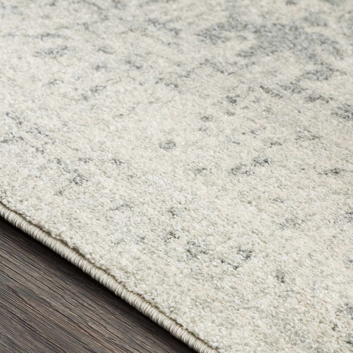 Traditional Heriz Design Gray and Beige Medallion Area Rug - The Rug Decor