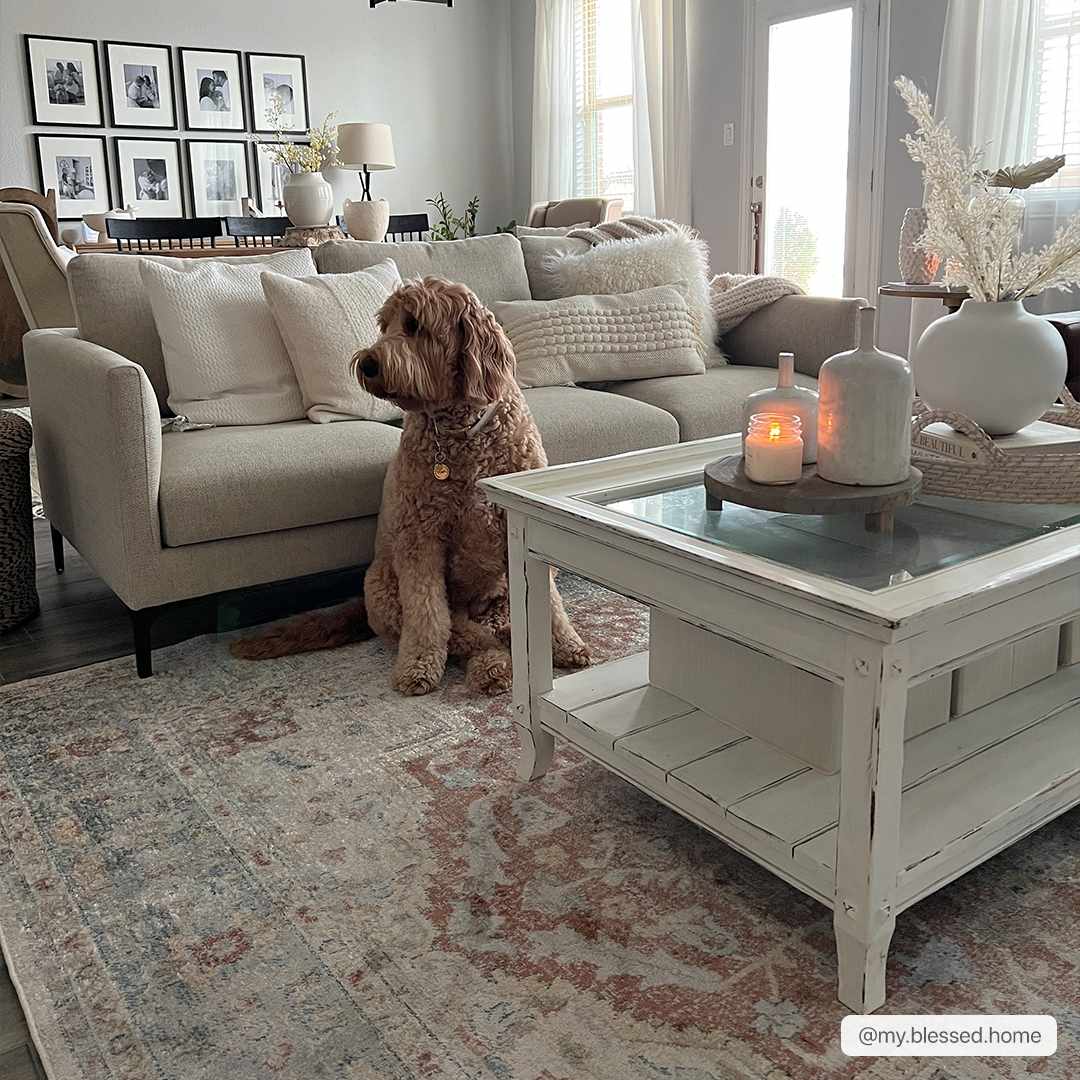 Traditional Medallion Design Machine woven Rust, Silver, Ivory and Beige washable Turkish Rug - The Rug Decor