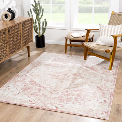 Traditional Medallion Pink, Silver and Beige Multi Size Area Rug - The Rug Decor