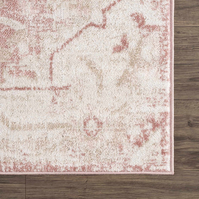 Traditional Medallion Pink, Silver and Beige Multi Size Area Rug - The Rug Decor