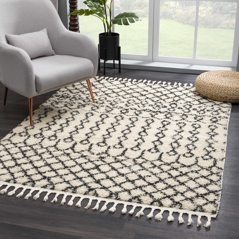 Traditional Moroccan Style Beige and Black Plush Pile Area Rug - The Rug Decor