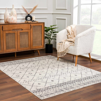 Traditional Moroccan Style Beige, Gray, Ivory Medium Pile Multi Size Area Rug - The Rug Decor