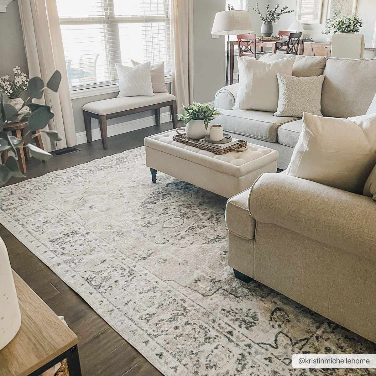 Traditional Oriental Light Brown and Blue and Medallion Design Low pile Area Rug - The Rug Decor