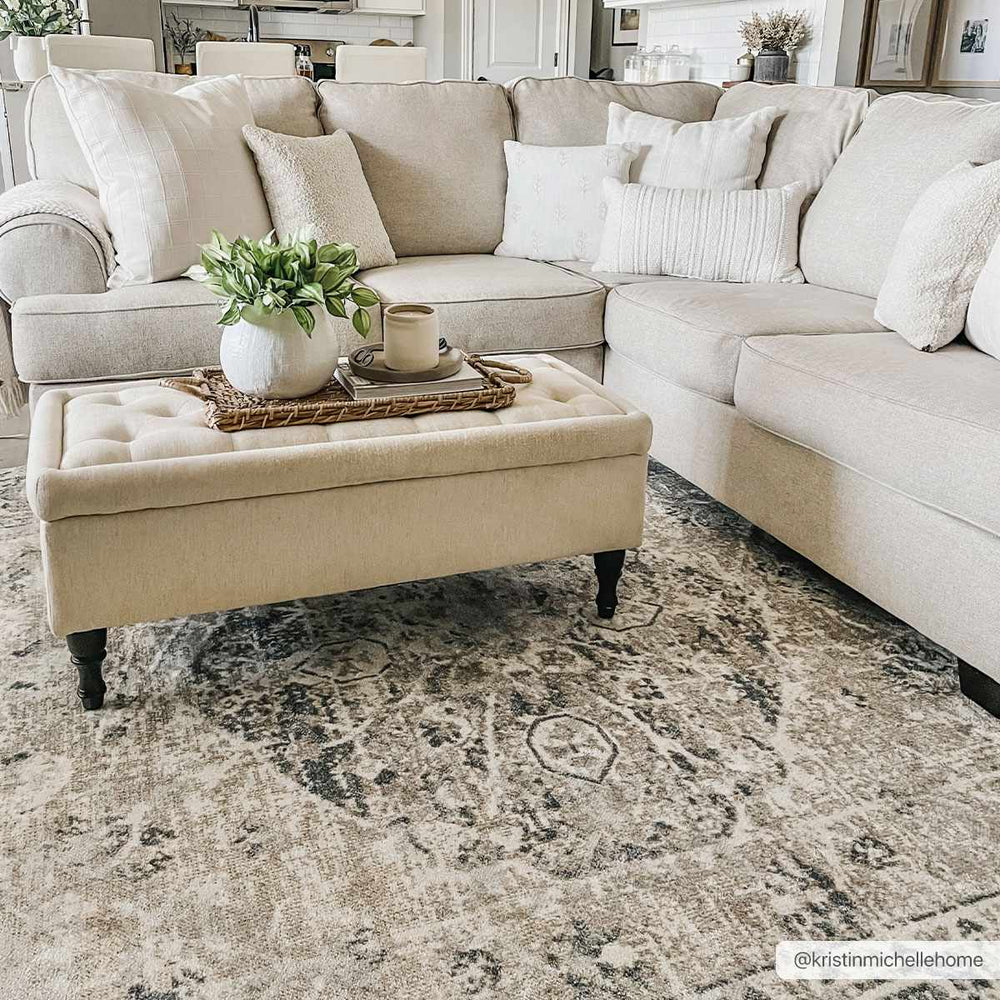 Traditional Oriental Light Brown and Blue and Medallion Design Low pile Area Rug - The Rug Decor