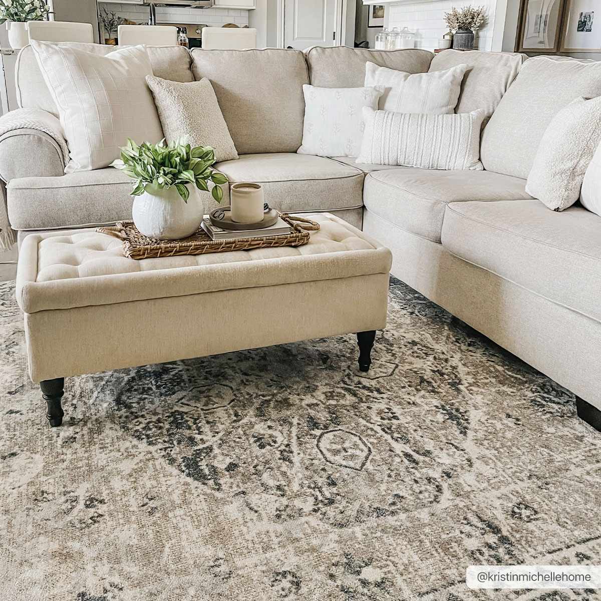 Traditional Oriental Light Brown and Blue and Medallion Design Low pile Area Rug - The Rug Decor