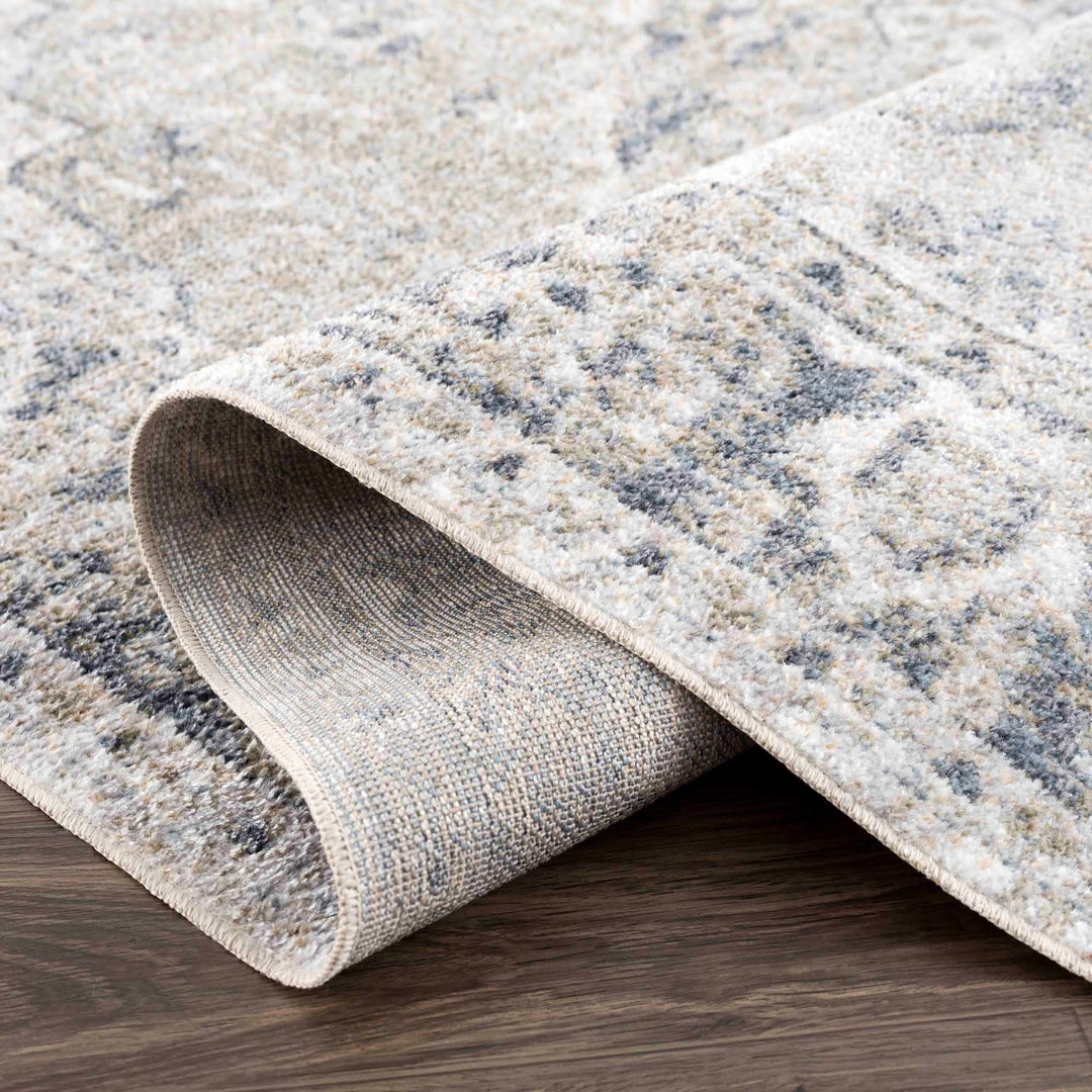 Traditional Oriental Light Brown and Blue and Medallion Design Low pile Area Rug - The Rug Decor