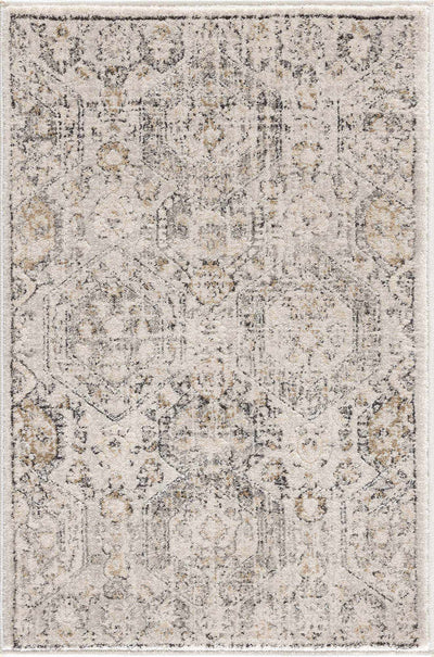 Traditional Overall Design Beige and Brown Medium Pile Area Rug - The Rug Decor