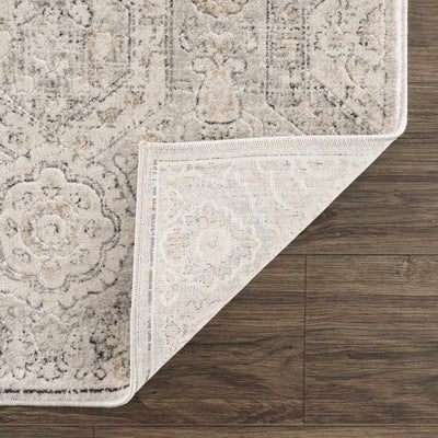 Traditional Overall Design Beige and Brown Medium Pile Area Rug - The Rug Decor