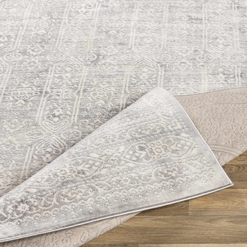 Traditional Transitional Beige and Gray Medium Pile Area Rug - The Rug Decor