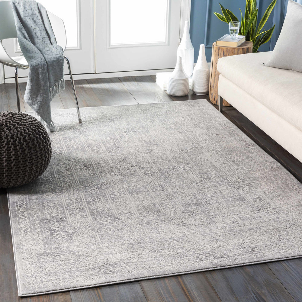 Traditional Transitional Beige and Gray Medium Pile Area Rug - The Rug Decor
