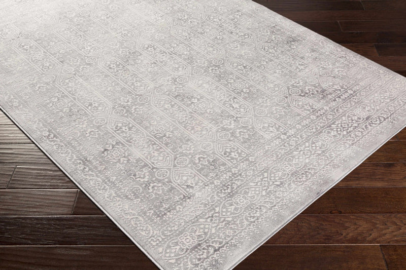 Traditional Transitional Beige and Gray Medium Pile Area Rug - The Rug Decor