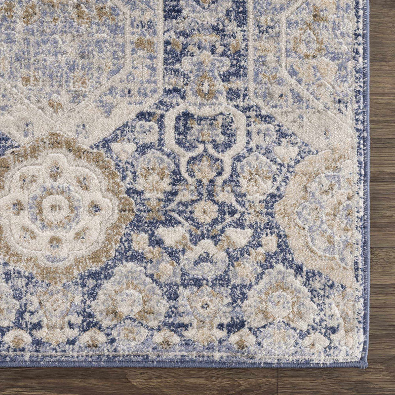 Traditional Transitional Blue and Beige Medium Pile Area Rug - The Rug Decor