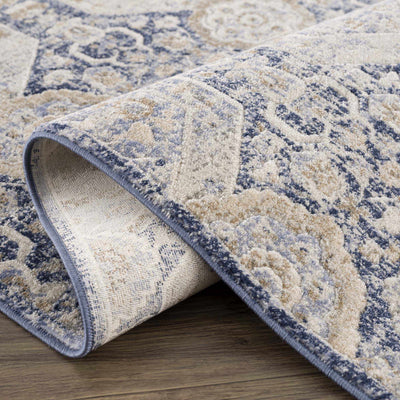 Traditional Transitional Blue and Beige Medium Pile Area Rug - The Rug Decor