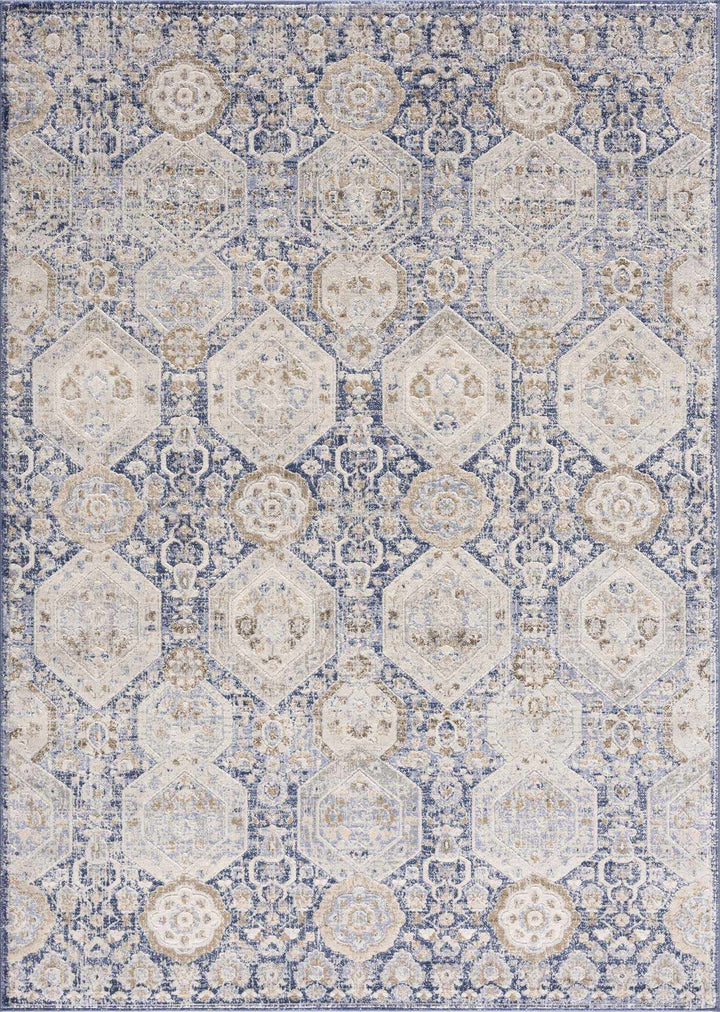 Traditional Transitional Blue and Beige Medium Pile Area Rug - The Rug Decor