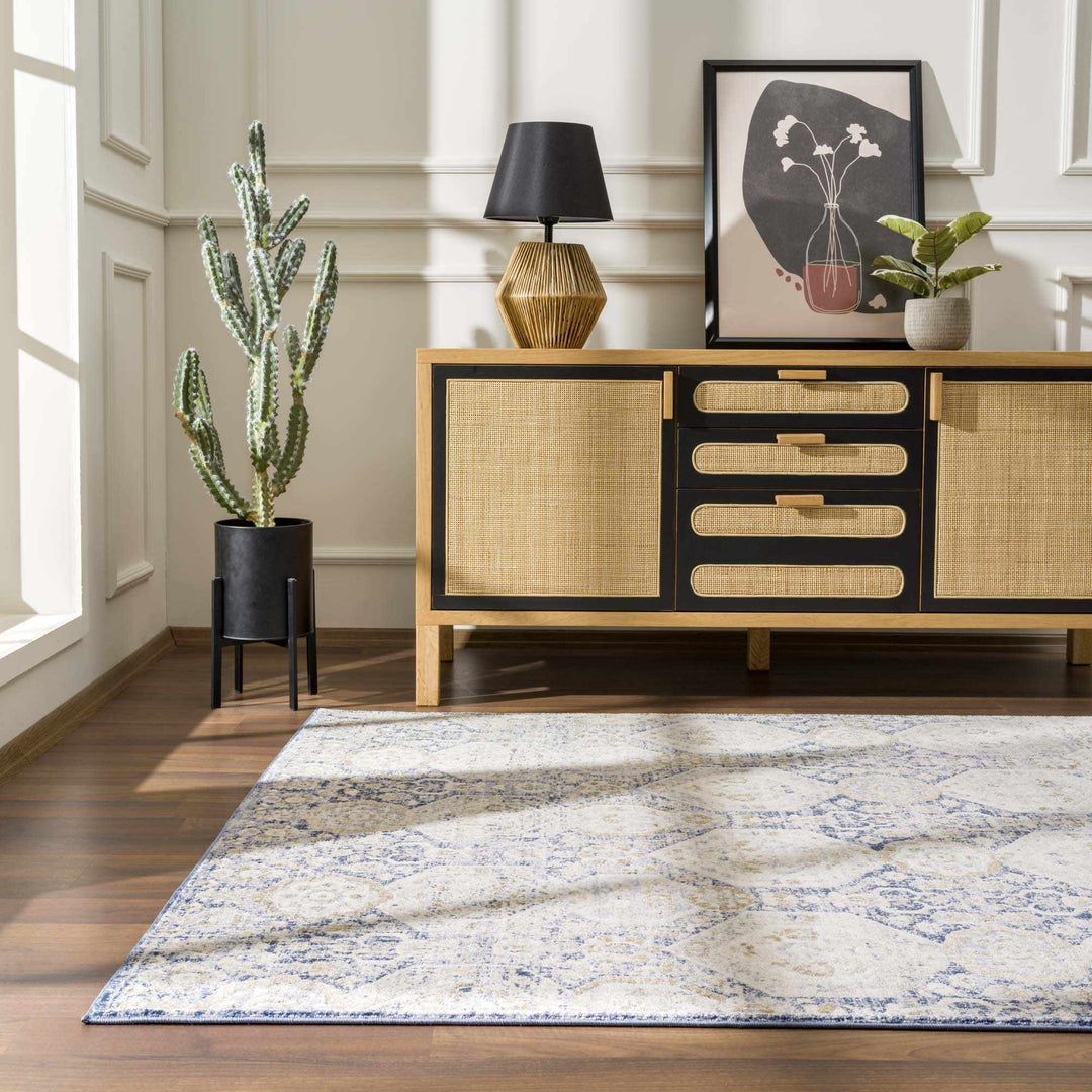 Traditional Transitional Blue and Beige Medium Pile Area Rug - The Rug Decor
