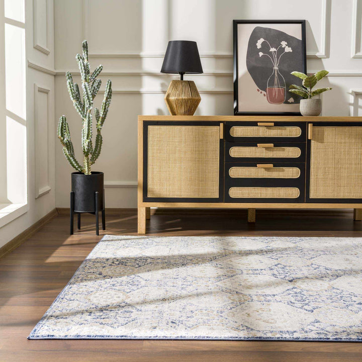 Traditional Transitional Blue and Beige Medium Pile Area Rug - The Rug Decor