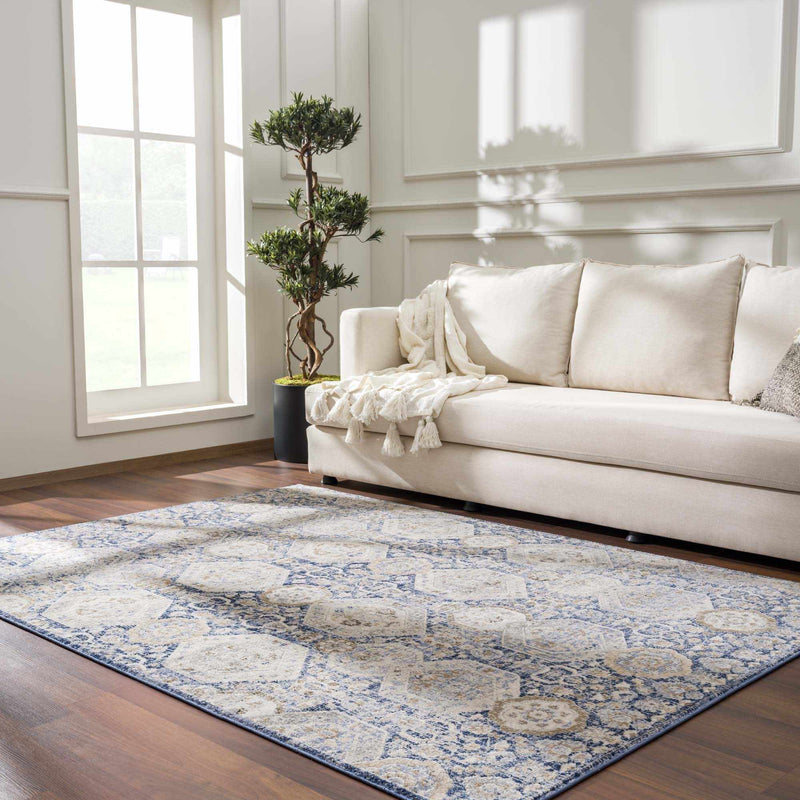 Traditional Transitional Blue and Beige Medium Pile Area Rug - The Rug Decor