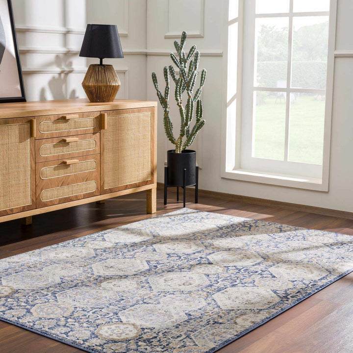 Traditional Transitional Blue and Beige Medium Pile Area Rug - The Rug Decor