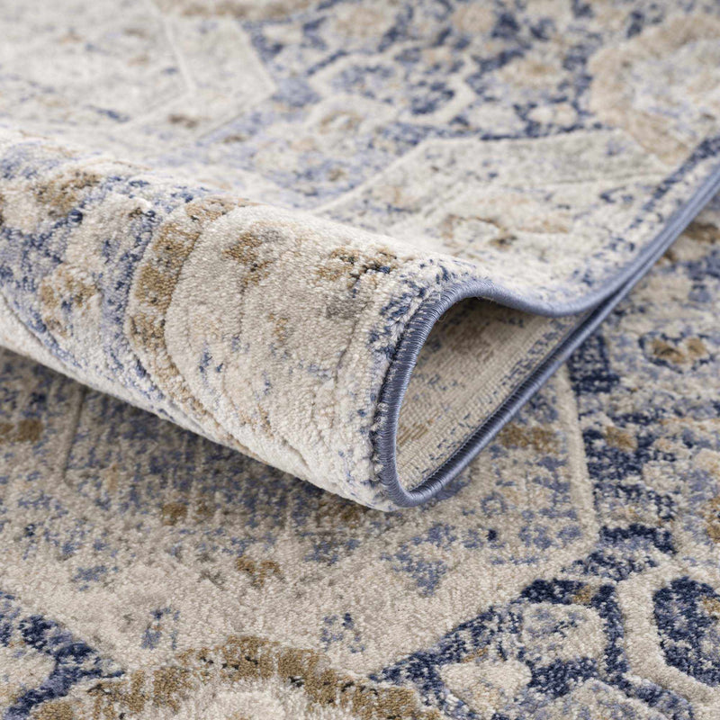 Traditional Transitional Blue and Beige Medium Pile Area Rug - The Rug Decor