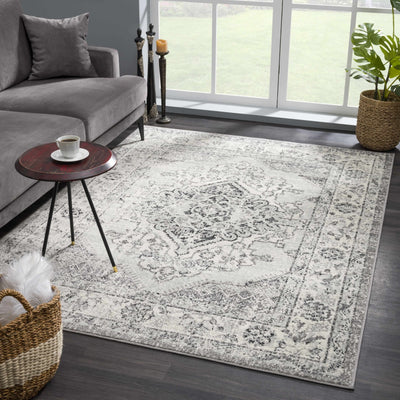 Traditional Turkish Deign Ivory, Gray and Black Style Low Pile Area Rug - The Rug Decor