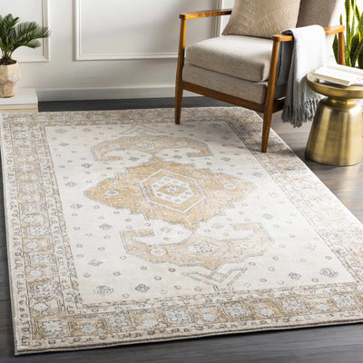 Traditional Turkish Design Beige, Brown, Gray, Sliver and Charcoal Medium pile Area rug - The Rug Decor