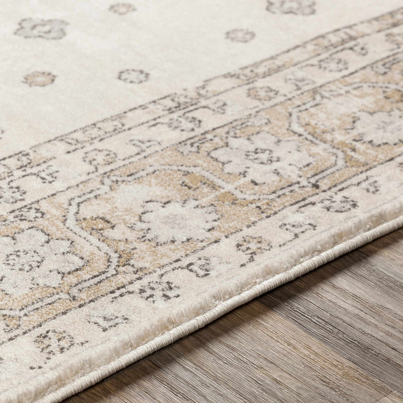 Traditional Turkish Design Beige, Brown, Gray, Sliver and Charcoal Medium pile Area rug - The Rug Decor