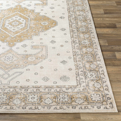 Traditional Turkish Design Beige, Brown, Gray, Sliver and Charcoal Medium pile Area rug - The Rug Decor