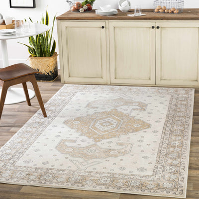 Traditional Turkish Design Beige, Brown, Gray, Sliver and Charcoal Medium pile Area rug - The Rug Decor