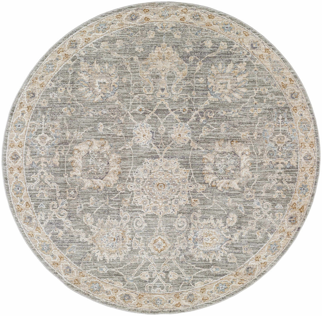 Traditional Vintage Style Gray, Beige, Violet and White Medium Pile Rug - The Rug Decor