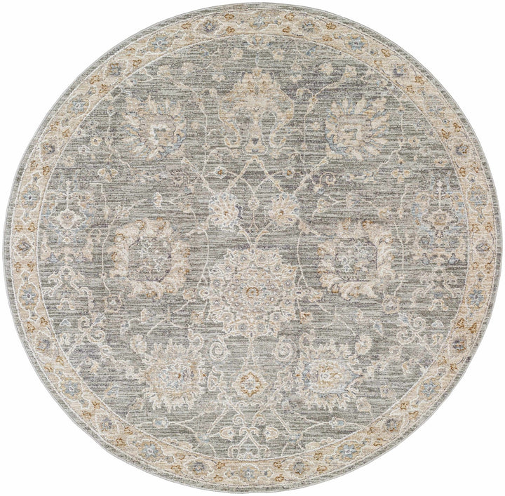 Traditional Vintage Style Gray, Beige, Violet and White Medium Pile Rug - The Rug Decor