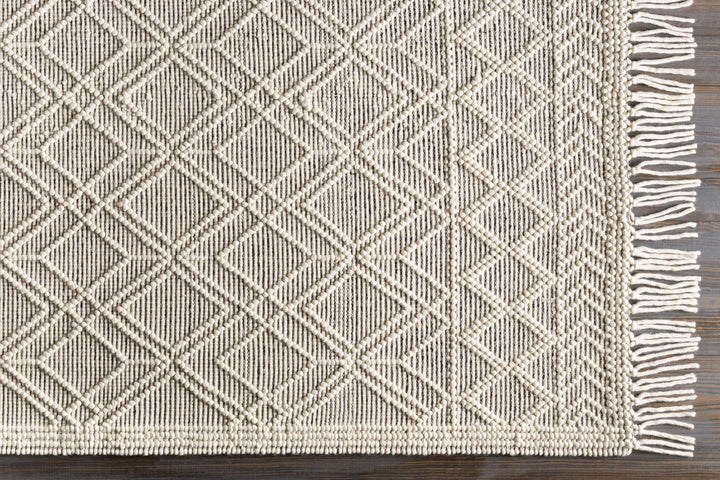 Transitional Hand Woven Ivory and Beige Tasseled Texture Wool Cotton Blended Rug - The Rug Decor