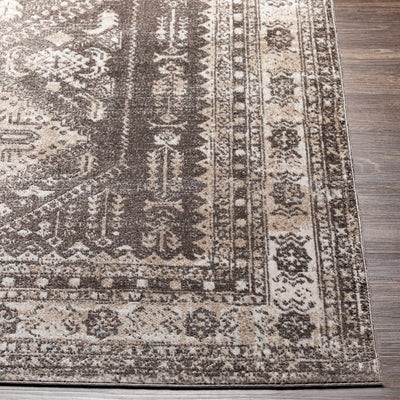 Turkish Design Neutral Grayish-Brown and Ivory Traditional Washable Area Rug - The Rug Decor