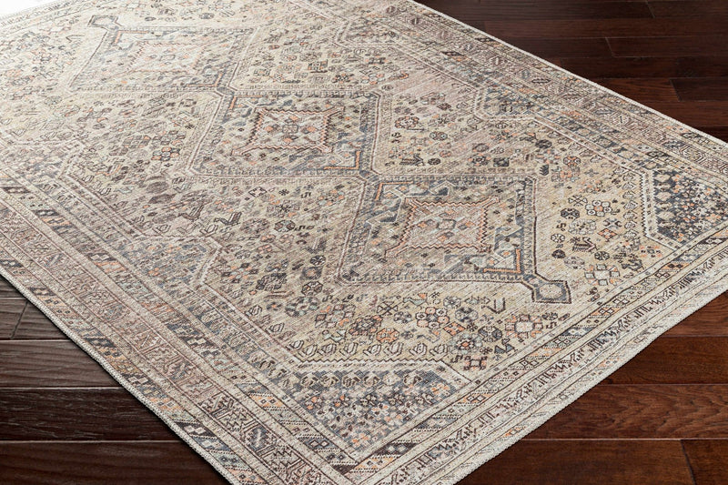 Vintage Style Beige and Charcoal Transitional Area Rug - The Rug Decor