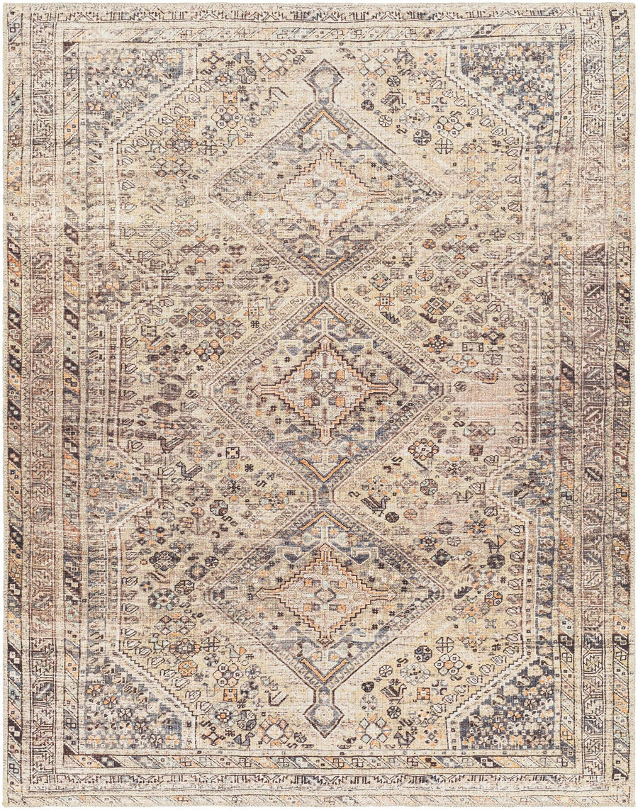 Vintage Style Beige and Charcoal Transitional Area Rug - The Rug Decor
